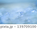 ネモフィラ 139709100