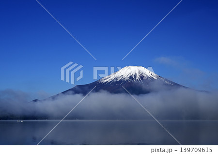 5月、山中湖畔の風景 (撮影地:山中湖畔) 5月、山中湖畔の風景 (撮影地:山中湖畔) 139709615