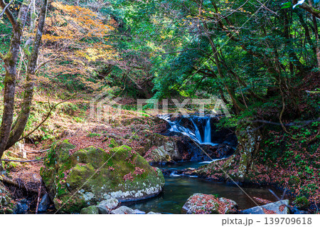 【日本の滝百選】龍頭・八重滝 晩秋の八重滝 紅葉滝3 島根県雲南市 【日本の滝百選】龍頭・八重滝 晩秋の八重滝 紅葉滝3 島根県雲南市 139709618