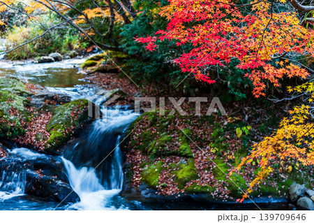 【日本の滝百選】龍頭・八重滝　紅葉と渓流7　島根県雲南市 139709646
