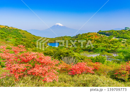 （静岡県）ツツジ咲く箱根玄岳から眺める、富士山 139709773