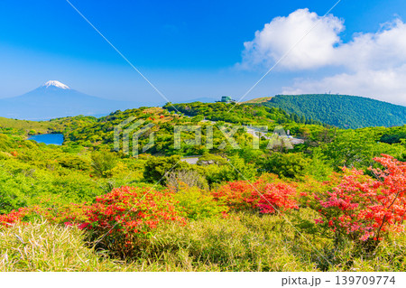 (静岡県)ツツジ咲く箱根玄岳から眺める、富士山 (静岡県)ツツジ咲く箱根玄岳から眺める、富士山 139709774