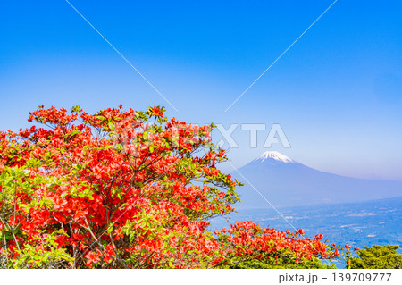 (静岡県)ツツジ咲く箱根玄岳から眺める、富士山 (静岡県)ツツジ咲く箱根玄岳から眺める、富士山 139709777