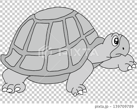 手繪動物插畫☆烏龜 手繪動物插畫☆烏龜 139709789