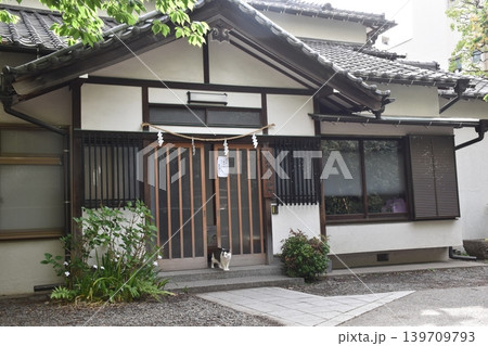 蔵前神社の境内で見かけた看板猫 139709793