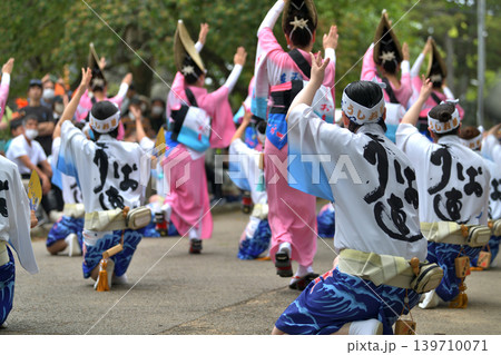 阿波踊り 春の祭典「徳島城 阿波おどり」 阿波踊り 春の祭典「徳島城 阿波おどり」 139710071