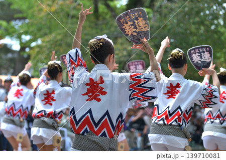 阿波踊り 春の祭典「徳島城 阿波おどり」有名連の法被踊り 阿波踊り 春の祭典「徳島城 阿波おどり」有名連の法被踊り 139710081