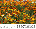 カラフルな花 139710108