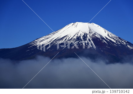 5月、山中湖畔の風景 (撮影地：山中湖畔) 139710142