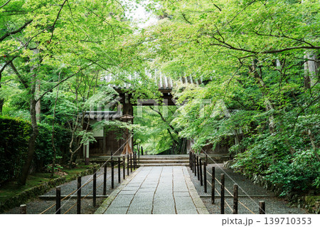 光明寺 新緑と薬医門 光明寺 新緑と薬医門 139710353