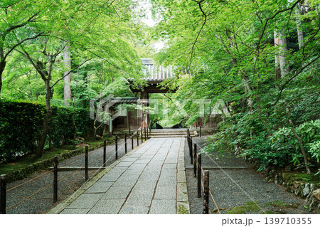 光明寺 新緑と薬医門 光明寺 新緑と薬医門 139710355