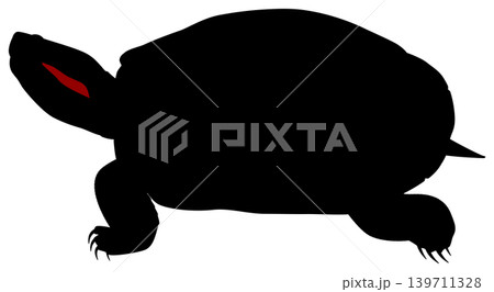 アカミミガメ アカミミガメ 139711328