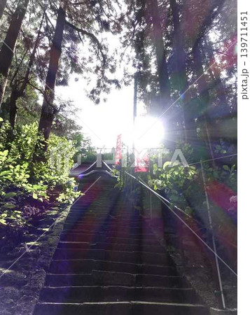 満開のアジサイ　紫陽花　あじさい　出塩文殊堂　山形市 139711451