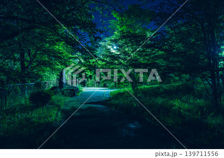 夜の森の葉の写真 139711556
