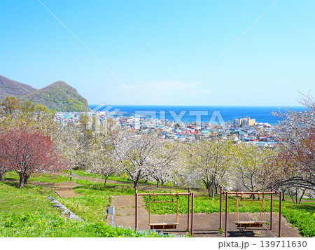 北海道の絶景 余市円山公園の桜風景 139711630