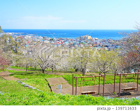 北海道の絶景 余市円山公園の桜風景 139711633
