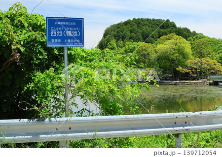 ◇須濱神社 / 兵庫県姫路市林田エリア・西池(別名「鴨池」) ◇須濱神社 / 兵庫県姫路市林田エリア・西池(別名「鴨池」) 139712054
