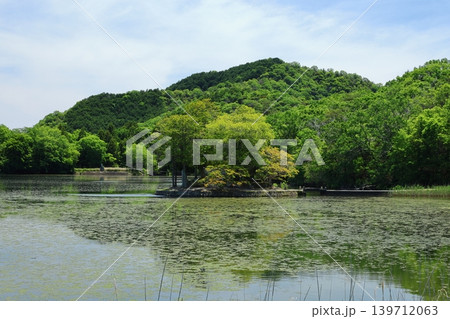 ◇須濱神社 / 兵庫県姫路市林田エリア・西池(別名「鴨池」) ◇須濱神社 / 兵庫県姫路市林田エリア・西池(別名「鴨池」) 139712063