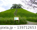 丸墓山古墳（さきたま古墳群） 139712653