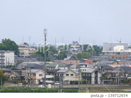 忍城(丸墓山古墳から見える おしじょう ) 忍城(丸墓山古墳から見える おしじょう ) 139712654