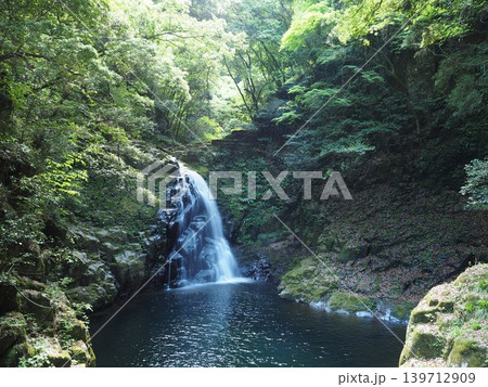 赤目五瀑を代表する名瀑。初夏の柔らかな光が降り注ぐ『不動滝』の神秘的な佇まい 139712909