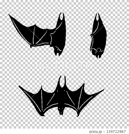 Two black bats hanging upside down and flying straight ahead. Two black bats hanging upside down and flying straight ahead. 139712967