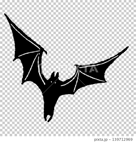真正面に向かって大きく羽を広げて飛んでくる黒いコウモリのイラスト 真正面に向かって大きく羽を広げて飛んでくる黒いコウモリのイラスト 139712969