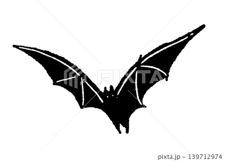 正面に向かって羽を広げて滑空する黒いコウモリの単体モノクロイラスト 正面に向かって羽を広げて滑空する黒いコウモリの単体モノクロイラスト 139712974