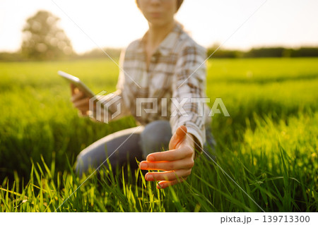 Close-up of a young woman farmer in glasses holding young sprout in her hands on green wheat field. Close-up of a young woman farmer in glasses holding young sprout in her hands on green wheat field. 139713300