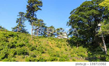 初夏の小田原城址 初夏の小田原城址 139713302