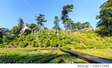 初夏の小田原城址 初夏の小田原城址 139713304