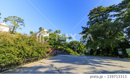 初夏の小田原城址 初夏の小田原城址 139713313