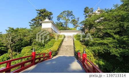 初夏の小田原城址 初夏の小田原城址 139713314