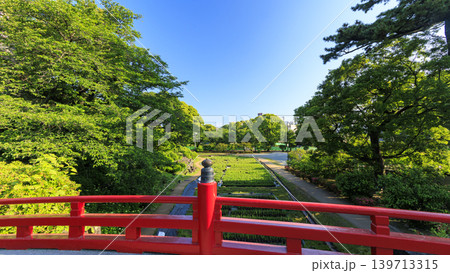 初夏の小田原城址 初夏の小田原城址 139713315