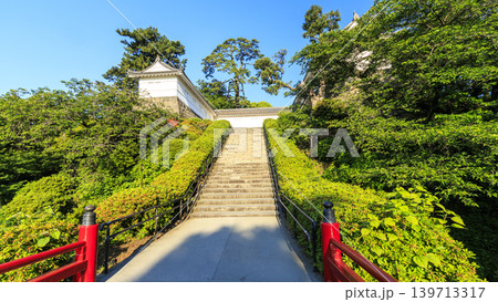 初夏の小田原城址 初夏の小田原城址 139713317