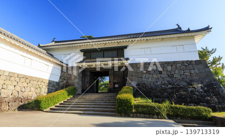 初夏の小田原城址 139713319
