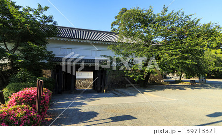 初夏の小田原城址 139713321