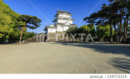 初夏の小田原城址 初夏の小田原城址 139713324