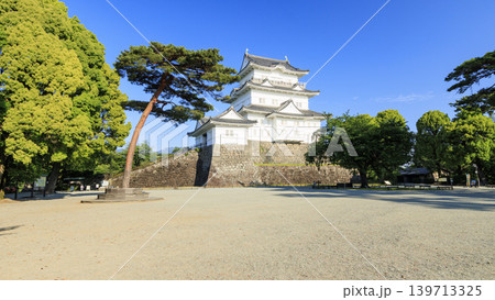 初夏の小田原城址 初夏の小田原城址 139713325