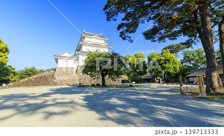 初夏の小田原城址 初夏の小田原城址 139713333