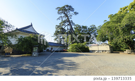初夏の小田原城址 初夏の小田原城址 139713335
