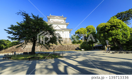 初夏の小田原城址 初夏の小田原城址 139713336
