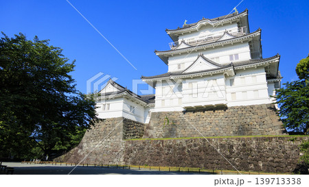 初夏の小田原城址 初夏の小田原城址 139713338