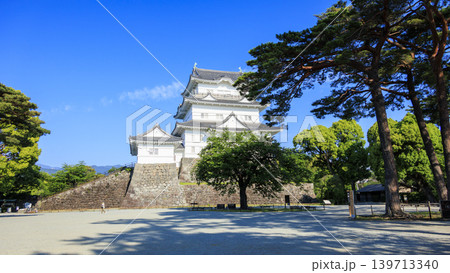 初夏の小田原城址 139713340
