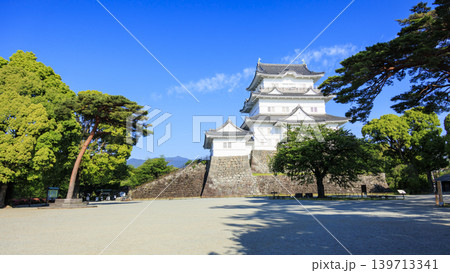 初夏の小田原城址 初夏の小田原城址 139713341