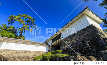 初夏の小田原城址 139713344