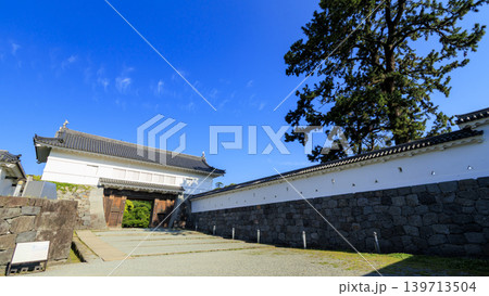 初夏の小田原城址 初夏の小田原城址 139713504