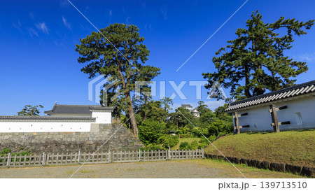 初夏の小田原城址 初夏の小田原城址 139713510