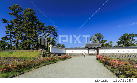 初夏の小田原城址 初夏の小田原城址 139713594