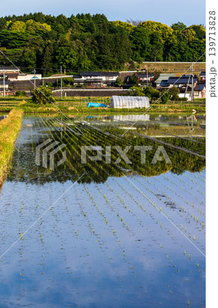 田植えの後の水田に映り込んだ田舎の風景 139713828